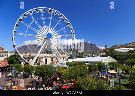 Sud Africa, Western Cape, Cape Town, Victoria and Alfred Waterfront complessa Foto Stock