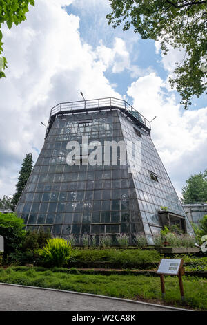 Palm serra costruita in stile brutalist fuori del calcestruzzo, presso il giardino botanico dell'Università Jagellonica a Cracovia vecchia, Polonia Foto Stock