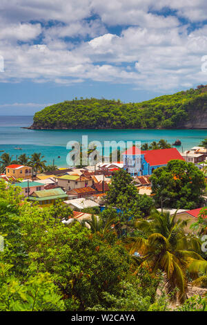 Caraibi, St Lucia, Canarie Foto Stock