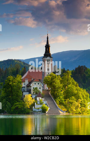 Bled isola con la chiesa dell' Assunzione illuminata di sunrise, lago di Bled Bled, Alta Carniola, sulle Alpi Giulie, Slovenia Foto Stock