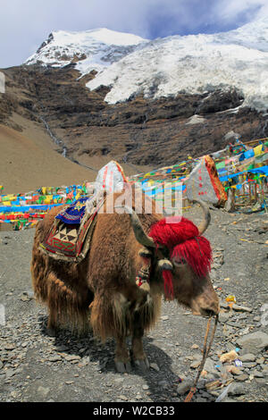 Karola Glacier 5560 C (m), Shannan Prefettura, Tibet, Cina Foto Stock