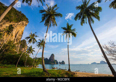 Tonsai Bay, Railay Penisola, Provincia di Krabi, Thailandia Foto Stock