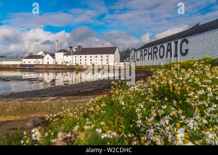 Regno Unito, Scozia, Argyll and Bute, Islay, Loch Laphroaig Laphroaig, distilleria di whisky Foto Stock