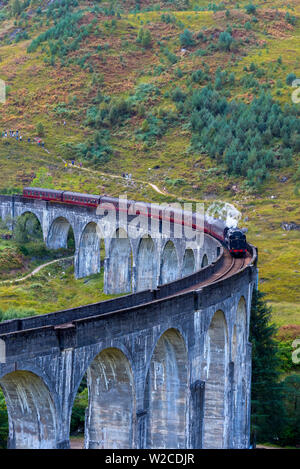 Regno Unito, Scozia, Highland, Loch Shiel, Glenfinnan, Glenfinnan viadotto ferroviario, parte del West Highland Line, il giacobita treno a vapore, reso famoso in JK Rowling Harry Potter come la scuola di Hogwarts Express Foto Stock