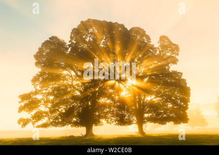 Sunrise, Usk Valley, South Wales, Regno Unito Foto Stock