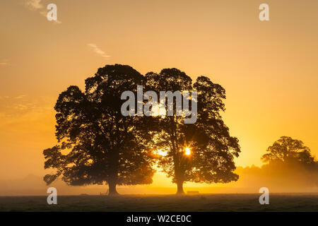 Sunrise, Usk Valley, South Wales, Regno Unito Foto Stock