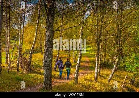 Regno Unito, Inghilterra, Gloucestershire, Foresta di Dean Foto Stock