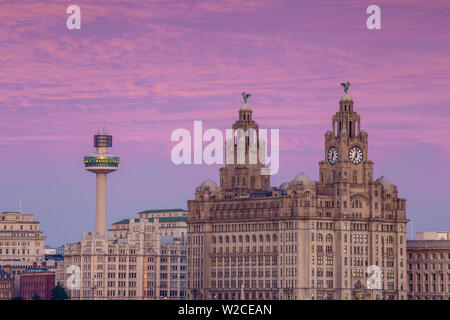 Regno Unito, Inghilterra, Merseyside, Liverpool, vista del Royal Liver Building - con due torri di Orologio sormontato da due uccelli di fegato, con Radio City Tower dietro Foto Stock