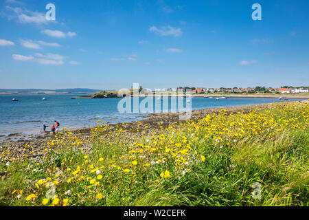 A Isola Santa, Northumberland, England, Regno Unito Foto Stock