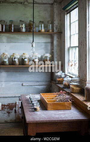 Stati Uniti d'America, New Hampshire, Canterbury Canterbury Shaker Village, ex Shaker la comunità religiosa, erbe aromatiche Foto Stock