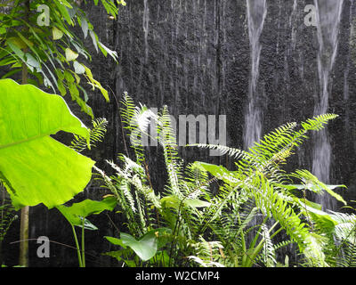 Piante verdi contro una cascata in Kerala Kochi Foto Stock