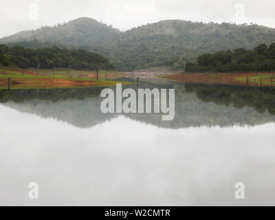 Riserva del Periyar in Kerala India, regione di Kochi Foto Stock