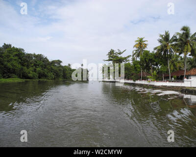 Backwaters nel Kerala a Kochi Foto Stock