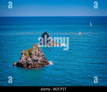 GB - DEVON: Mew Stone e il merluzzo bianco Rock off Berry Head vicino a Brixham (HDR-immagine) Foto Stock