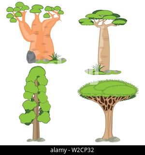 Alberi esotici su sfondo bianco è isolato Illustrazione Vettoriale