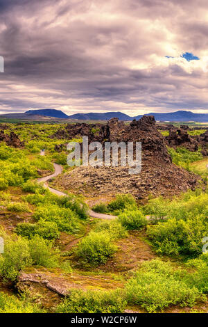Dimmuborgir campi di lava vicino a Myvatn in Islanda. Una natura che stupisce il paesaggio, vista panoramica della famosa attrazione turistica - valle verde, formazioni rocciose Foto Stock