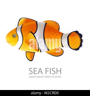 Pesce d'oro realistica del vettore isolato su bianco. Dettagliata vita marine fish Illustrazione Vettoriale