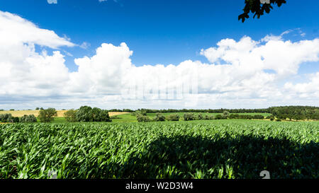 Campi, prati e foreste Foto Stock
