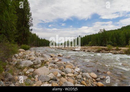 Stony banca di fiume. La rapida corrente. La montagna degli Altai. Foto Stock