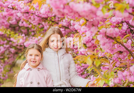 I bambini su fiori di colore rosa di sakura tree background. Kids godendo la fioritura dei ciliegi sakura. Concetto di botanica. Fiori di colore rosa morbide nuvole. I bambini godono di calda primavera. Perso in fiore. Le ragazze in posa vicino a sakura. Foto Stock