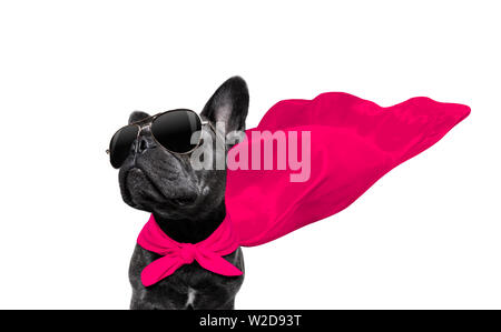 Super Hero bulldog francese cane con red cape e occhiali da sole di giustizia e forza isolati su sfondo bianco Foto Stock