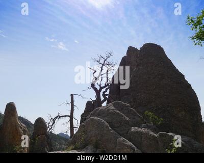 Spettacolari formazioni rocciose con alberi sfrondato lungo gli aghi in autostrada in Sud Dakota. Foto Stock