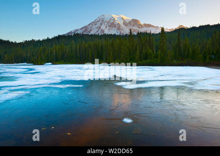 Riflessione congelati Lago e Monte Rainier di sunrise, il Parco Nazionale del Monte Rainier, nello Stato di Washington, USA Foto Stock