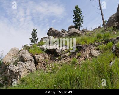 Verso l'alto colpo di rocce di granito e lungo gli aghi in autostrada in Sud Dakota. Foto Stock