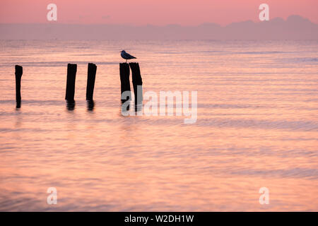 Bella mattina in rosso e arancione sul mar Baltico con silhouette di un Gabbiano seduta su un polo nell'acqua a Groemitz, Schleswig-Holstein Foto Stock