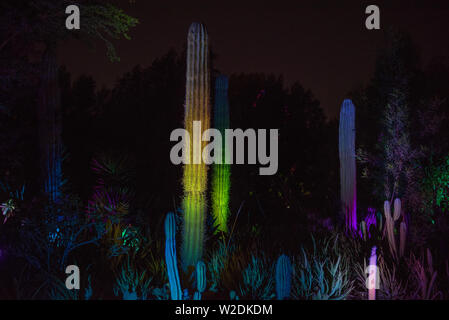Al Noor Isola, Sharjah di notte Foto Stock