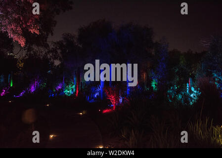 Al Noor Isola, Sharjah di notte Foto Stock