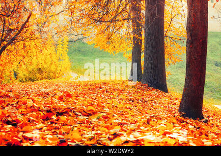 Paesaggio autunnale - golden colorato parco di alberi caduti e foglie di autunno sul terreno nel parco della città nella soleggiata giornata autunnale. Il pittoresco panorama autunno Foto Stock