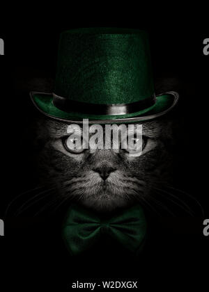 Muso scuro gatto nel cappello verde e la cravatta a farfalla per Foto Stock