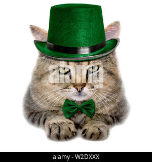 Gatto in un cappello verde e la cravatta a farfalla per isolati su sfondo bianco Foto Stock