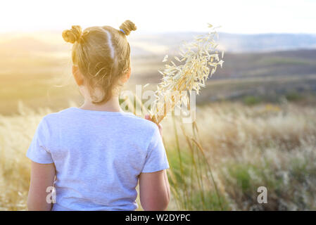 Autunno bambina per godersi la natura sul campo. Bellezza ragazza all'aperto i picchi di contenimento di grano e le orecchie di avena nei raggi di luce del sole. Vista posteriore teen sul prato. Foto Stock