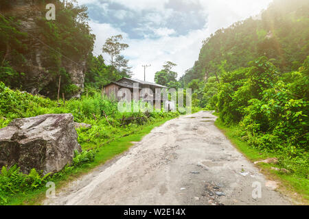 Bellissimo paesaggio con la strada rurale in montagna, area di Annapurna, Nepal Foto Stock