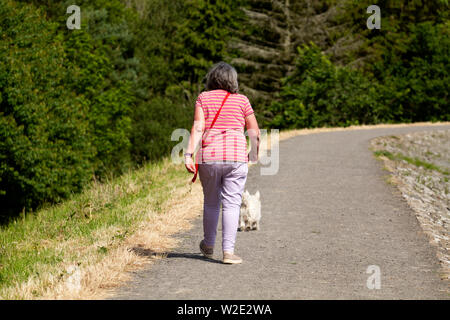 Dundee, Tayside, Scotland, Regno Unito. 8 Luglio, 2019. Regno Unito: meteo il caldo clima soleggiato attira escursionisti del cane a Clatto Country Park a Dundee, Regno Unito. Foto Stock