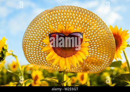 Girasole in fiore in occhiali da sole e cappello di paglia che cresce in campo estivo. Vacanze estive Foto Stock