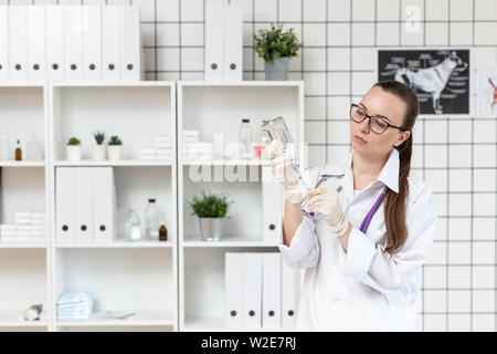 Preparazione della siringa con il farmaco. Veterinario la preparazione di iniezione per cani. Close up. Foto Stock