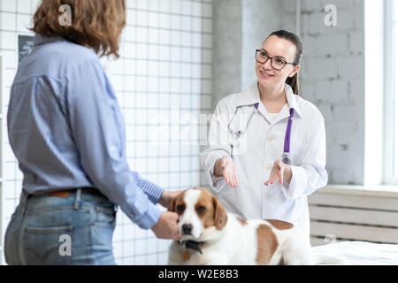 Il veterinario e il client con il cane per discutere il trattamento in una clinica veterinaria. Foto Stock