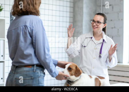 Il veterinario e il client con il cane per discutere il trattamento in una clinica veterinaria. Foto Stock