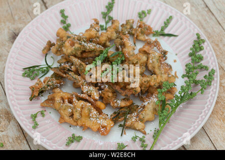 Gänsefuß-Küchle, Gänsefussküchle, Gänsefuss-Küchle, Gänsefuss-Pfannkuchen, Blüten und Blätter vom Weißen Gänsefuß werden in Pfannkuchenteig, Teig geta Foto Stock