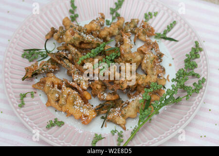 Gänsefuß-Küchle, Gänsefussküchle, Gänsefuss-Küchle, Gänsefuss-Pfannkuchen, Blüten und Blätter vom Weißen Gänsefuß werden in Pfannkuchenteig, Teig geta Foto Stock