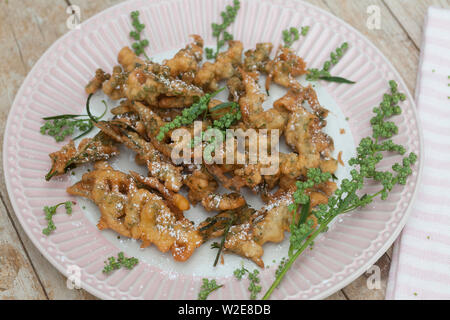 Gänsefuß-Küchle, Gänsefussküchle, Gänsefuss-Küchle, Gänsefuss-Pfannkuchen, Blüten und Blätter vom Weißen Gänsefuß werden in Pfannkuchenteig, Teig geta Foto Stock