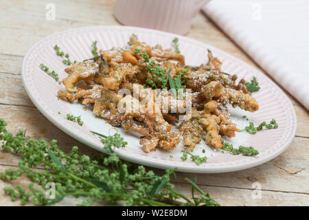 Gänsefuß-Küchle, Gänsefussküchle, Gänsefuss-Küchle, Gänsefuss-Pfannkuchen, Blüten und Blätter vom Weißen Gänsefuß werden in Pfannkuchenteig, Teig geta Foto Stock