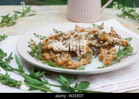 Gänsefuß-Küchle, Gänsefussküchle, Gänsefuss-Küchle, Gänsefuss-Pfannkuchen, Blüten und Blätter vom Weißen Gänsefuß werden in Pfannkuchenteig, Teig geta Foto Stock