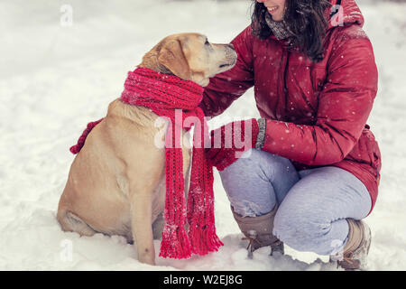 Giovane donna a piedi con un Labrador retriever cane in un inverno nevoso. Un cane in un rosso sciarpa lavorata a maglia Foto Stock