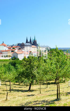Fotografia verticale della capitale ceca Praga shot da Petrin Hill con green park. Il Castello di Praga e la Cattedrale di San Vito sono le principali attrazioni turistiche in Repubblica Ceca. Cityscape, skyline. Foto Stock