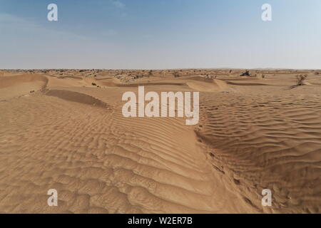 Deserto sparso pioppo-populus eupratica alberi tra arbusti tamarici. Taklamakan Desert-Xinjiang-Cina-0309 Foto Stock