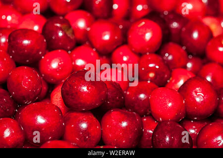 Close up di ciliegie. Telaio completo di ciliege rosse. Foto Stock